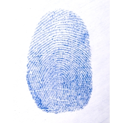 Blue Fingerprint Powder 2 oz 59ml 