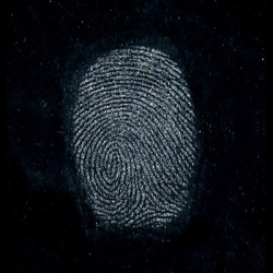 Latent developed with Chemist Gray powder