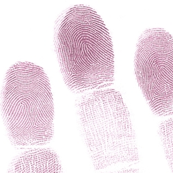 Coin Box/Galvanic Fingerprint Powder
