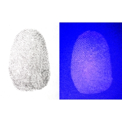 Dual Purpose Black Fingerprint Powder