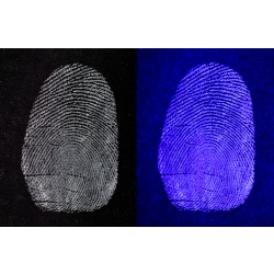Dual Purpose White Fingerprint Powder