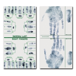 Major Case & Tip Print Cards