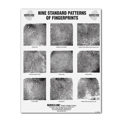 Fingerprint Pattern Wall Chart 