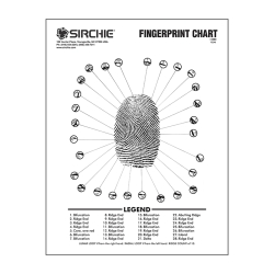 Fingerprint Ridge Structure Wall Chart 