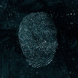 Latent developed with Heavy Gray powder
