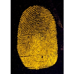 ORANGEescent Fluorescent Fingerprint Powder 2 oz 59 ml