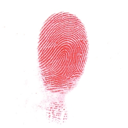 Latent developed with Red magnetic powder
