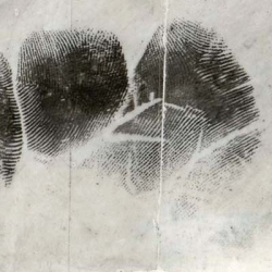 Advanced Latent Palm Print Comparison Class (Sirchie HQ) Apr 28-May 2, 2025