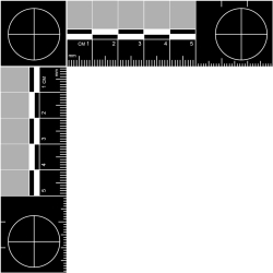 Metric Metal Forensic Scale 50mm x 50mm