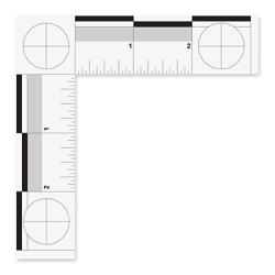  Black on White English Forensic Scale