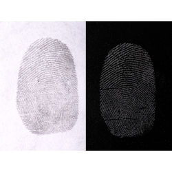 Silver/Black Fingerprint Powder
