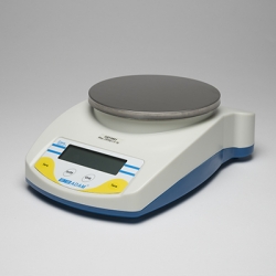 Precision Scale (1000 g), 110V