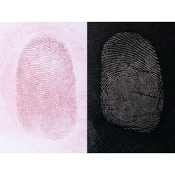 Silver/Red Fingerprint Powder
