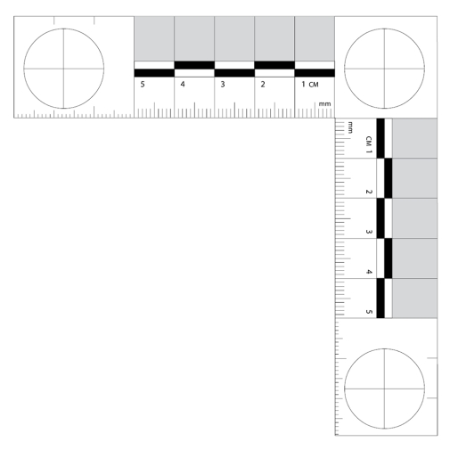 Forensic hotsell scale ruler