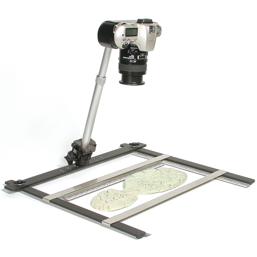 Universal Evidence Photo Stand w/English Scales, Evidence Photography, Forensic Supplies