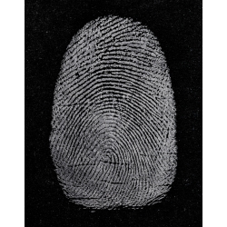 Regular Indestructible White Fingerprint Powder