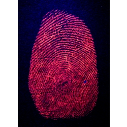 REDescent Fluorescent Fingerprint Powder 2 oz 59 ml