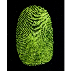 YELLOWescent Fluorescent Fingerprint Powder 16 oz 473 ml