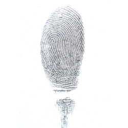 Regular Black Magnetic Fingerprint Powder