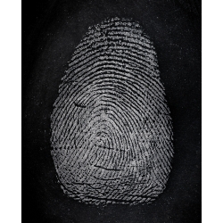 Indestructible White Magnetic Fingerprint Powder