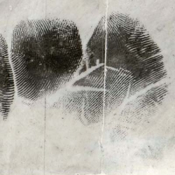 Advanced Latent Palm Print Comparison Class (Sirchie HQ) May 13-17, 2024