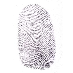 Regular Silk Black Fingerprint Powder