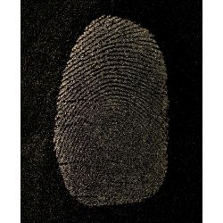 Latent developed with Gold Metallic powder
