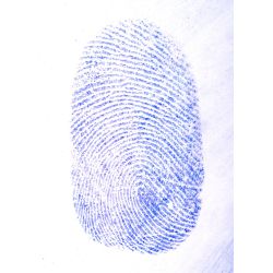 Blue Fingerprint Powder 2 oz 59ml 