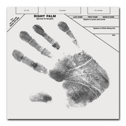 Diagonal Palm Print Record Cards, pack of 100