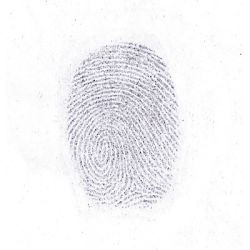 Latent developed with Banta powder