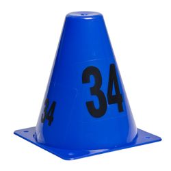 Blue Sirchmark Evidence Marking Cones