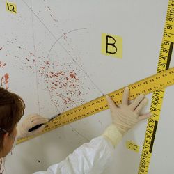 Bloodstain Documentation Class (Oct 16-19, 2023)