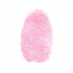 Latent developed with Brilliant Red powder