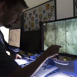 Forensic Investigation (Evidence Discovery, Collection, Processing & Preservation) 1 Date Available