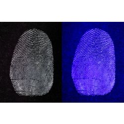 Dual Purpose White Fingerprint Powder