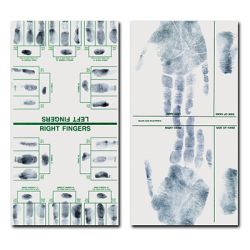 Major Case & Tip Print Cards