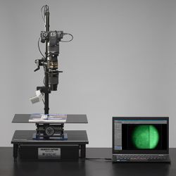 Krimesite Capture System