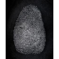 Latent developed with Indestructible White magnetic powder