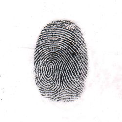 Latent developed with Midnight Black magnetic powder