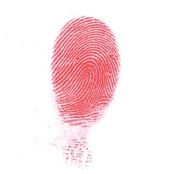 Latent developed with Red magnetic powder