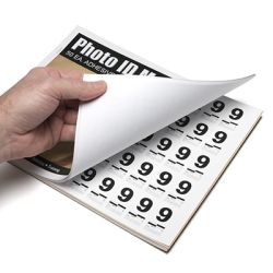 Numbers