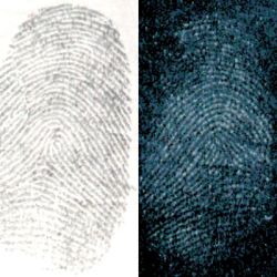 Latent developed with Silver/Gray powder