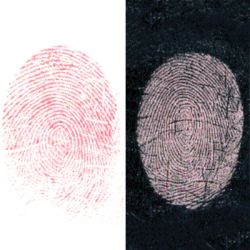 Latents developed with Silver/Red powder