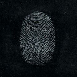 Latent developed with Silver Metallic powder